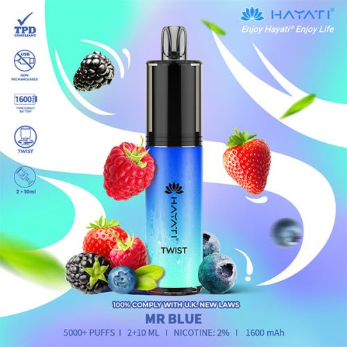 Hayati Twist 5000 Mr Blue Disposable NYKecigs 1